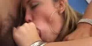 Easier tell, as sete gatinhas As sete gatinhas