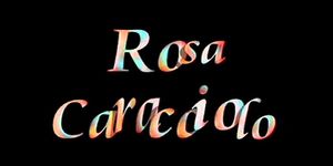 Rosa Caracciolo Video Anal 39