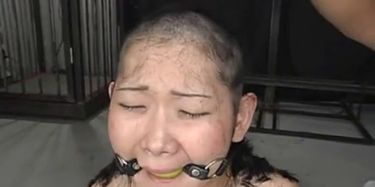 Bald Head Anal - Japanese Slave Hair Shorn Bald and used well TNAFlix Porn Videos